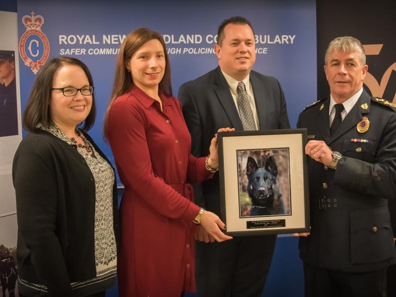 Featured image for “Avalon Mall Sponsors Police Service Dog”
