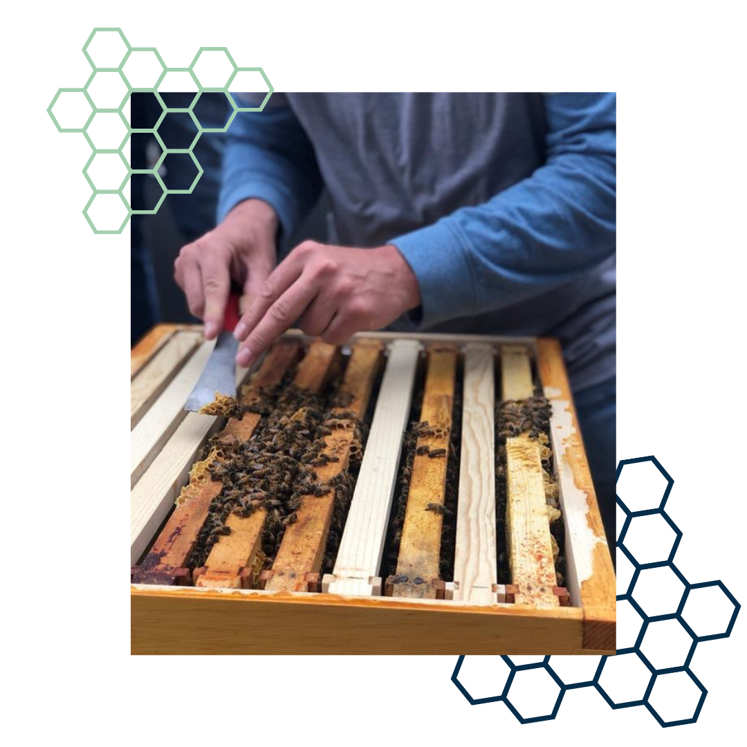 Did You Know...? Crombie REIT